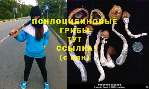 кокаин колумбия Приозерск