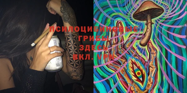 крисы Балахна