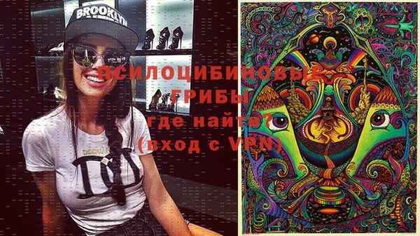 крисы Балахна