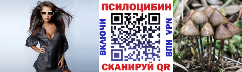 Галлюциногенные грибы Cubensis  Иноземцево 